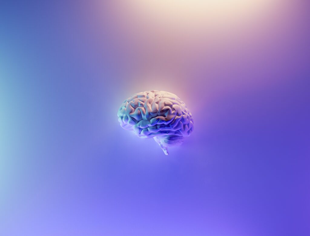 サウナで整うことでエンドルフィンが出ている脳のイメージ