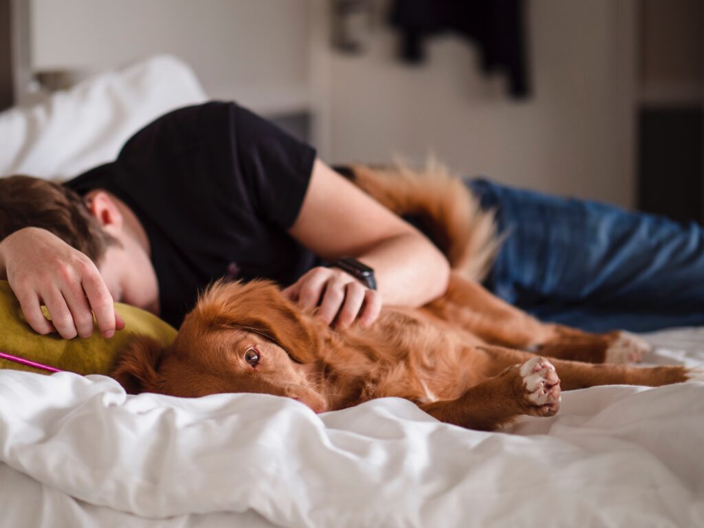 血糖値が乱れて夕方眠くなっている男性と犬のイメージ