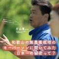 痩せにくいお正月太りの解消法TOP3！炭水化物を抜くよりも生野菜を食べるべき理由