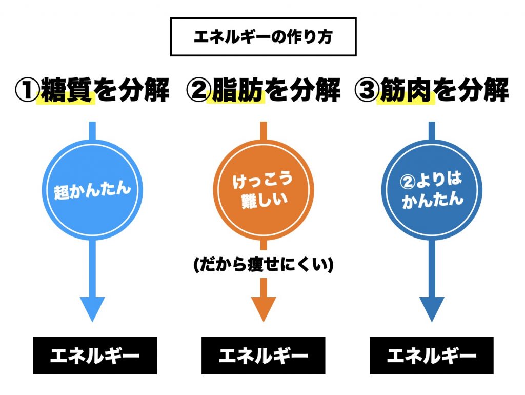 筋肉を溶かしてエネルギーを作る糖新生を説明している図