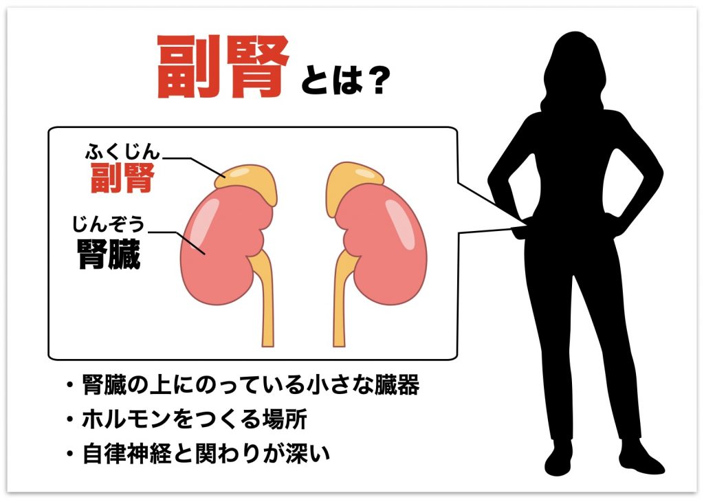 更年期のホットフラッシュと副腎疲労の関係